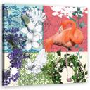 Canvasbillede, Flamingo fugle collage