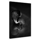 Lienzo Tjandra - reflejo de pájaro - blanco y negro