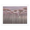 Poster lotusbloemen met zwaan in water in donkerroze - Ms Tiff