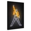 Lienzo Freddy Mercury - Mielu