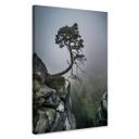 Canvasbillede - Wonisch - Naturens kræfter