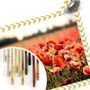 Poster Champ de coquelicots