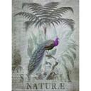 Livingwalls papier peint photo ARTist Peacock Jungle avec Jungle et paons vert, violet, jaune