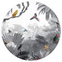 Fototapet - Rundt Kikki Belle - Tropical Birds sort og hvid - vliesetapet/selvklæbende non-woven tap