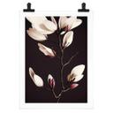 Plakat Treechild - Magnolia Blossoms