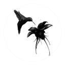 Wallsticker Irland - Chorum - Kolibri - rund