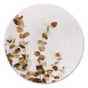 Tableau sur alu-Dibond Annie - Feuilles séchées - Rond