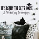 It's really the cat's house.