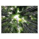 Póster Hugonnard - Bosque en Japón