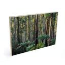 Cuadro de madera bosque de eucaliptos en Yarra Ranges - Colombo