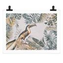 Póster Bosque tropical con tucán - Haase