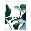 Plakat - Urban Jungle 03 - Monstera Deliciosa