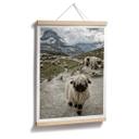 Póster Landolt - Excursión a la montaña