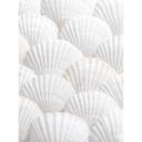 Fototapet 1X Stuudio - Shell Ensemble