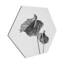 Hexagone - alu-Dibond Grønkjær - Anthurium noir et blanc