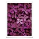 Poster - Feuilles roses