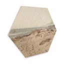 Hexagone - Bois 1X Studio - Montée de plage sur les dunes