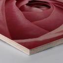 Hexagon hout - Pink Roses