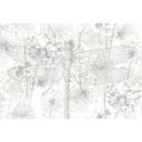 Architects Paper Papier peint photo Atelier 47 Dragon Fly