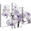 3 stykke lærredsprint, Orchid Blossom Purple