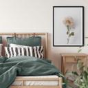 Plakat - Annie - The Rose
