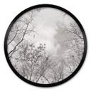 Plakat High in the Trees