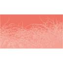 Architects Paper Papier peint photo Atelier 47 Thorn Style rose, rouge