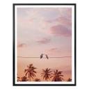 Póster Suelto - Colibríes enamorados