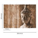 non-woven tapet AsianCulture Buddha fototapet Designwalls i brun og grå 