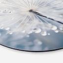Billede Mousserende mælkebøtter - Treechild - Rund – print på aluminium