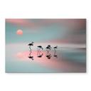 Akrylbillede Natalia - Flamingo familie