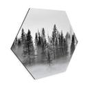 Hexagon Dibond Xu - Foggy Forest