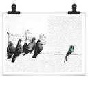Plakat Banksy - Protesting Birds
