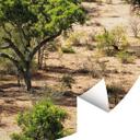 Afrikaans savanne landschap Fotobehang - Hugonnard - Rond - vliesbehang/zelfklevend vliesbehang