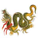 Sticker mural - Miami Ink - Dragon