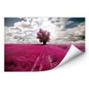 Zelfklevende Poster Lonely Tree