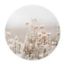 Plakat Annie - Ice Flowers