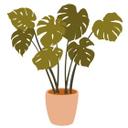 Wallsticker Monstera-plante i en urtepotte