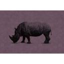 Fotomural Paredes de Patel rhino 2