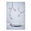 Tableau sur verre Karpova - Sakura Spa