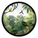 Póster Kikki Belle - Pájaros tropicales - Redondo