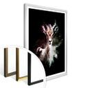 Plakat - Hugonnard - Wild Explosion: Antilope
