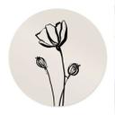 Plakat Line Art Poppy - Cats & Dotz - Rund