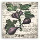 Canvasbillede, vintage figen