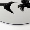 Alu-Dibond Rund - Ireland - Hummingbird – print på aluminium (Alu-Dibond)
