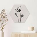 Sekskantet Billede Line Art Poppy - Cats & Dotz - aluminium dibond