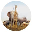 Vinilo decorativo de animales africanos - Redondo