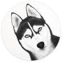 Fototapet Siberian husky - hundeportræt - Korenkova - Rundt - vliesetapet/selvklæbende non-woven tap