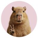 Wallsticker med dyr Peace Capybara - Rund