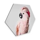 Hexagon Dibond Sisi & Seb - Roze Kaketoe